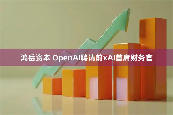 鸿岳资本 OpenAI聘请前xAI首席财务官