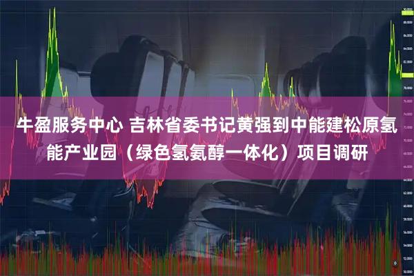 牛盈服务中心 吉林省委书记黄强到中能建松原氢能产业园（绿色氢氨醇一体化）项目调研